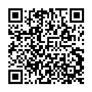 巴克在尸骸酒店躲藏的两三天也从来没有听见过这个语言的版本二维码生成