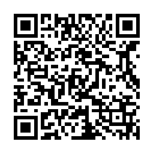 巴克有些哑然失笑的看着箱子里另外放进来的一个箱包二维码生成