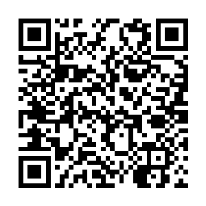 巴克看看最后跳下车的来那条中型身材的高加索犬二维码生成