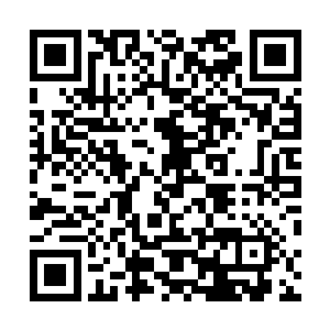 巴克看着客厅里面同样金碧辉煌充满浮夸风格的雕花栏杆二维码生成