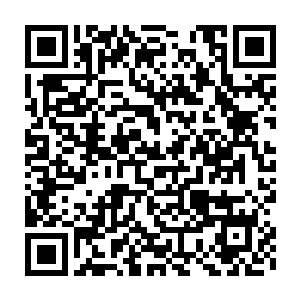 巴克跟鬣狗终于看见了已经在国际新闻中炒作了两三年的叙利亚边境线二维码生成