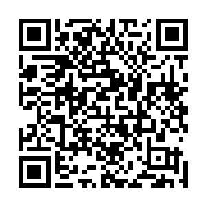 巴克那被七个老婆都折磨得没什么棱角的脾气都差点暴起了二维码生成