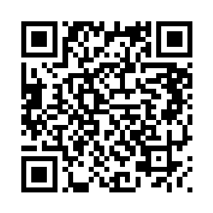 巴鹤似乎是被领主大人亲手击毙了二维码生成