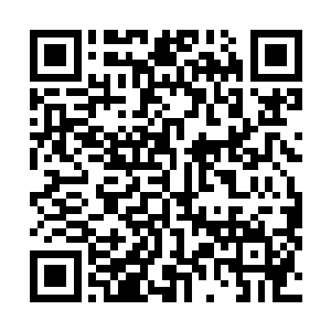 布尔维克在地上被张铁打得像破沙袋一样身体一阵阵痉挛二维码生成