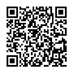 布雷同学的机器人一直都是设定在击打等级最高级的二维码生成