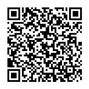 师兄不要误会这是散修风凰來此只是为了拜师加入我神道宗门下而二维码生成