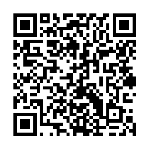 师叔又着重问了一下我是不是真的感觉里面有东西在吞肉藤二维码生成