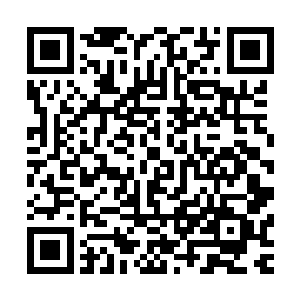 师哥直接把梓箐送到小艾就读的小学校门口……这也是顺路吗二维码生成