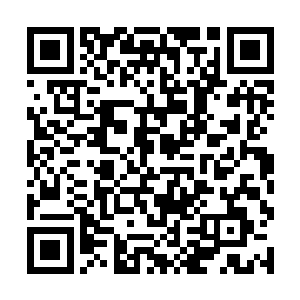 师莱茵向其他的法师解释云端之城进入他国的合法性二维码生成