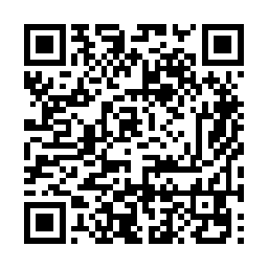 希冀她降下悲悯是可怜而自卑的人才会的做法……二维码生成