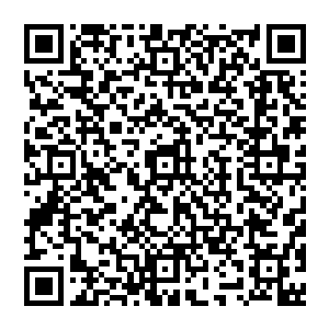 希望……哔……望你们可以送我……哔……回……哔……到……哔……主人……哔……身边……哔――二维码生成