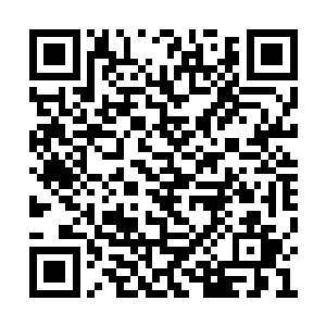 希望这什么探测仪可以探测到木之始龙的存在吧二维码生成