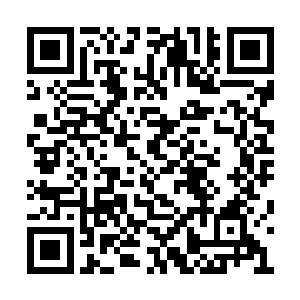 帝国皇室和三大家族与赵家和安迪城的正式开战二维码生成