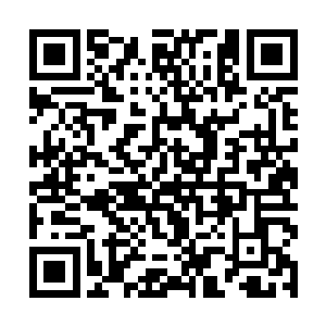 带我去云滇猎熊带我去三亚看海――我没记错顺序吧二维码生成