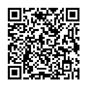 带给大杨子民的最大好处就是气数和修炼速度的加持二维码生成