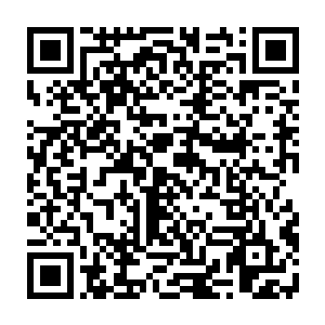 带给学生们的就是表现出一场又一场的猴戏给其他的学校里的学生们看不错二维码生成