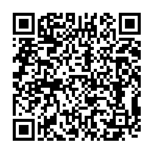 帮助他们描绘出了蜈蚣尸兄再清晰不过的活动范围--蜈蚣尸兄的所有活动二维码生成