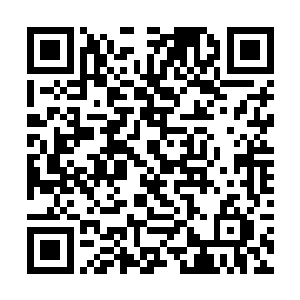 常文老师只不过就是仙武学院的一位优秀的老师罢了二维码生成