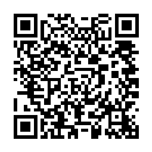 干脆就想尽量的在这个世界折腾出越大的动静越好二维码生成