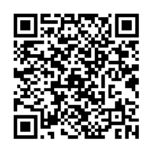 平常极少露面的小王子罗杰今天居然也来到了宴会现场二维码生成