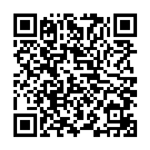 平日里潜心琢磨这位大统领的细微动作表情神态和语音二维码生成