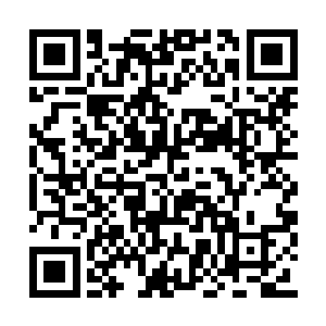 年轻男人靠在门框上眯着眼睛打量了邢琳一阵子二维码生成