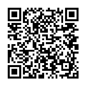 并不仅仅是因为他们从神鹰谷里面获得了不少东西二维码生成