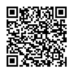 并且以无以伦比的掌控力在阳无敌的咽喉上留下一个伤痕二维码生成