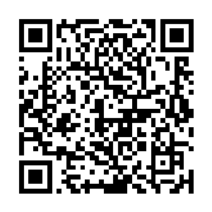 并且强烈邀请我罗氏商行重新参与那条百里灵脉的开采二维码生成