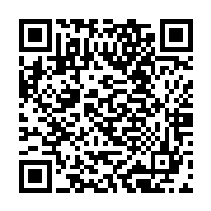 并且承诺在装修完成验收合格之后当天就会支付尾款二维码生成