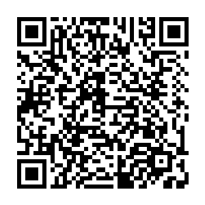 并且杨晨发现这些文字和他在洞穴深处得到的妖丹上生成的文字属于一个类型的二维码生成