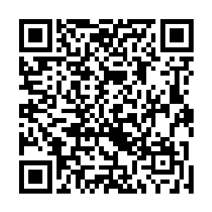 并且能够熟练无比的运用中医最基础的诊断手段望闻问切二维码生成