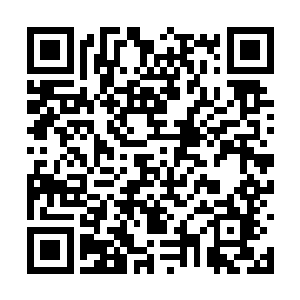 并且表示会全力的支持他们成为下一任的龙头大哥二维码生成