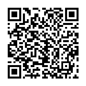 并且重来的第五雷的威力会再次提升到本来第六雷的境界二维码生成