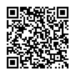 并在一阵阵轰鸣声中将那些植物和树木撞得粉碎二维码生成