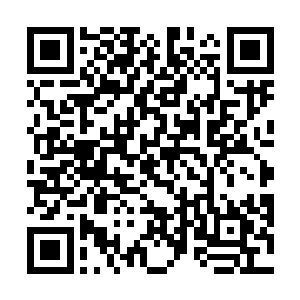 并在文中指出这部电影只是一个错觉狂极大表现的隐喻二维码生成