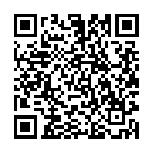并对着自己面前的那根可以传音通声管高声吼了起来二维码生成