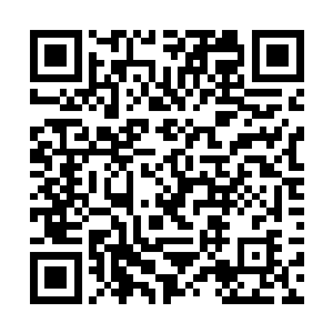 并无任何一道攻击能够破开这只异种蟾蜍的表层防御二维码生成