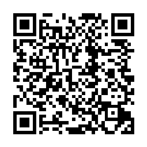 并没有因为杨开与古魔一族太过亲近而有什么责怪之意二维码生成