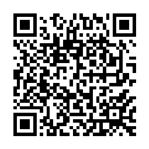 并没有对这些物质做出半点反应那就像是帝国舰队的例行公事二维码生成