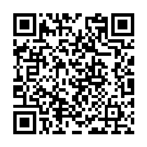 并没有将当初与这个苏家结梁子的几位兄弟都派来二维码生成