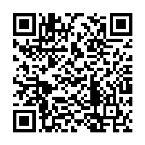 并没有谁傻缺的去问仙舍金仙们流墨墨他们的情况二维码生成