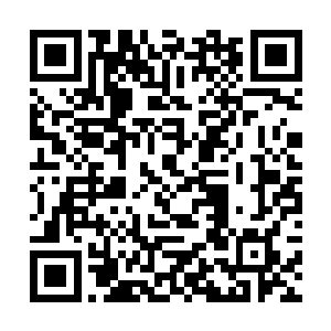 并被其内的天戈归元阵转化为精纯的荒元和圣灵本元二维码生成