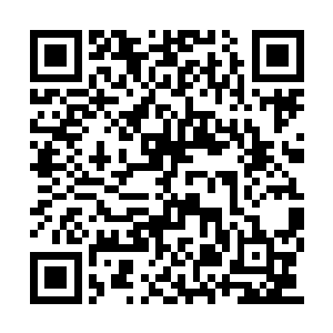 并随着不断在鳄蛟岛上发生的一些被偷袭的事件二维码生成
