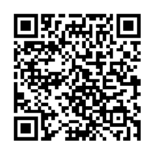 幻阴宗也不会派一名武侯强者来这里主持寻宝的任务二维码生成