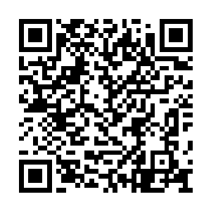 广播里女主播正在念一首关于旅行和爱情的散文二维码生成