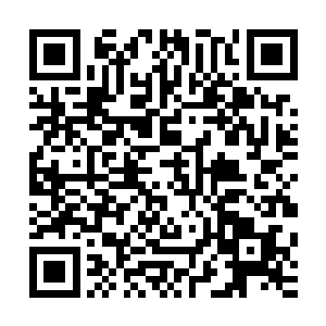 庄汉的钻头攻击在原先李成功的势力中算是数一数二的攻击力二维码生成