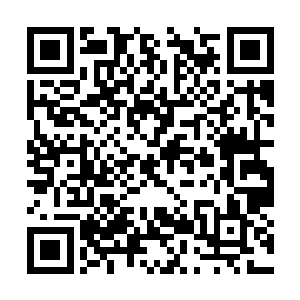应该也是这里为数不多可以随便斩杀他人的存在了二维码生成