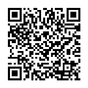 应该在那个时候就把我的一举一动都调查清楚了二维码生成