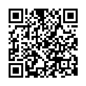 应该就是紫月魔熊先前用来防御的技能二维码生成